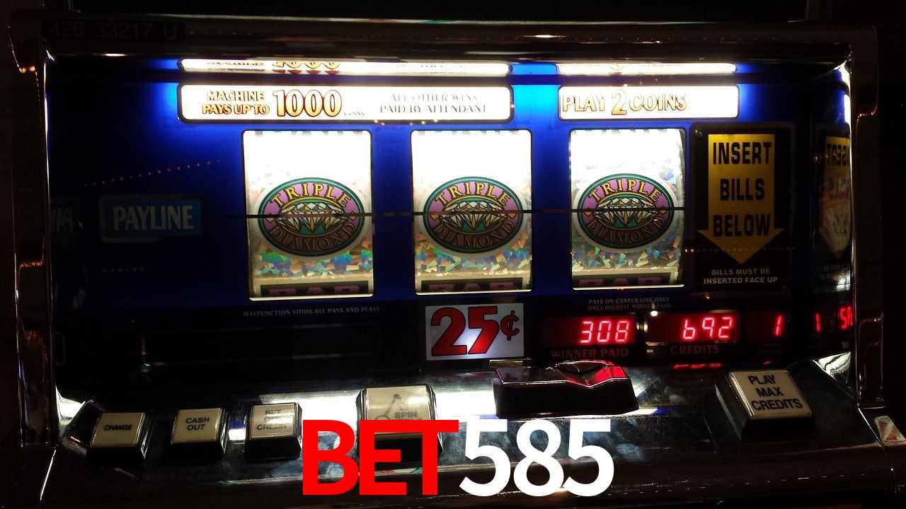 Bet585 Plataforma